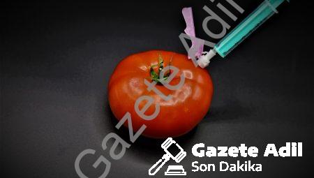 Sentetik Biyoloji Nedir?