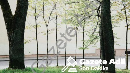 Dış Cephe Estetiğinde Doğal Taş Kullanımı
