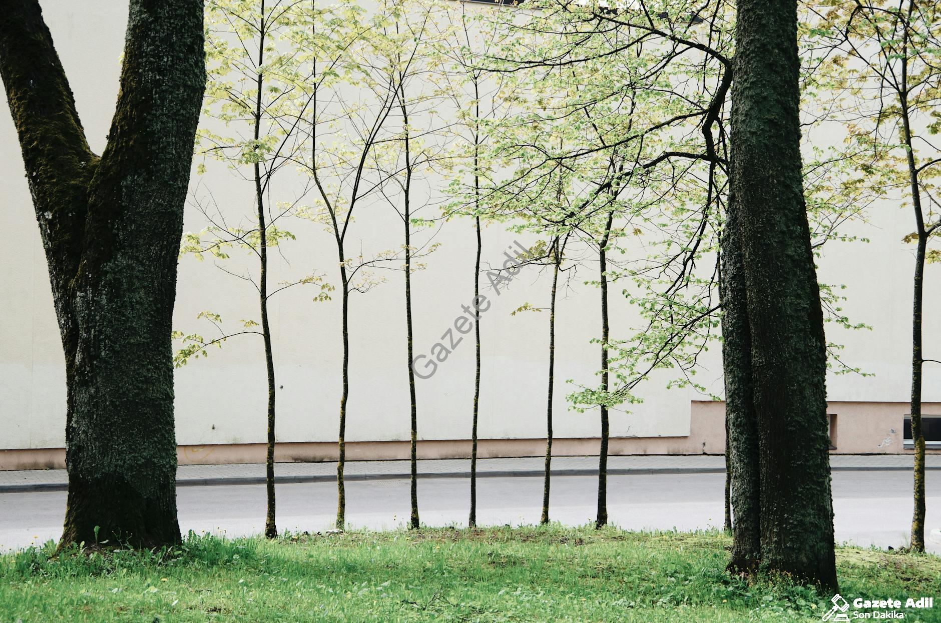 Dış Cephe Estetiğinde Doğal Taş Kullanımı