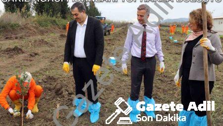 Dalaman Açık Cezaevi’nde Üretime Destek: Sakız Ağacı Fidanları Toprakla Buluştu