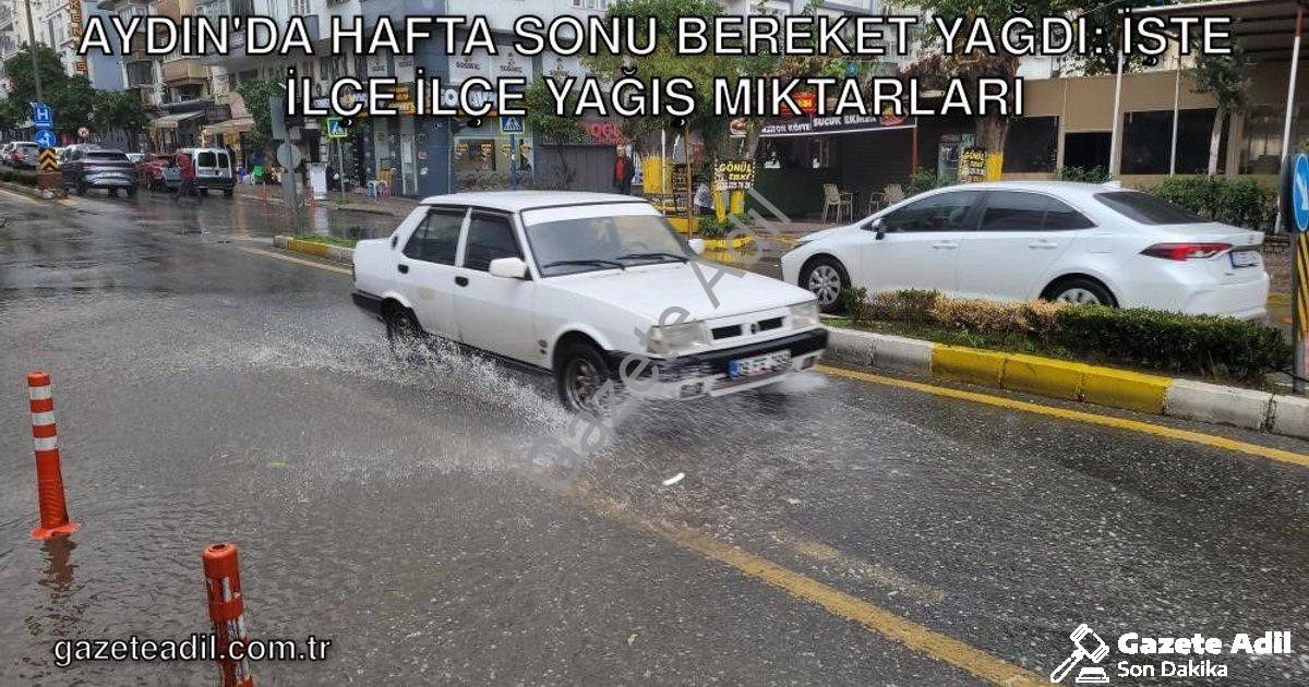 "Aydın'da Hafta Sonu Bereket Yağdı: İşte İlçe İlçe Yağış Miktarları" başlıklı haber için fotorealist