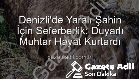 Denizli’de Yaralı Şahin İçin Seferberlik: Duyarlı Muhtar Hayat Kurtardı