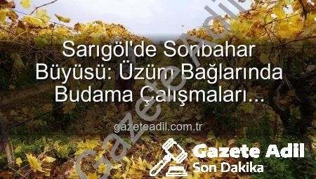 Sarıgöl’de Sonbahar Büyüsü: Üzüm Bağlarında Budama Çalışmaları Kartpostal Manzaralar Eşliğinde Sürüyor