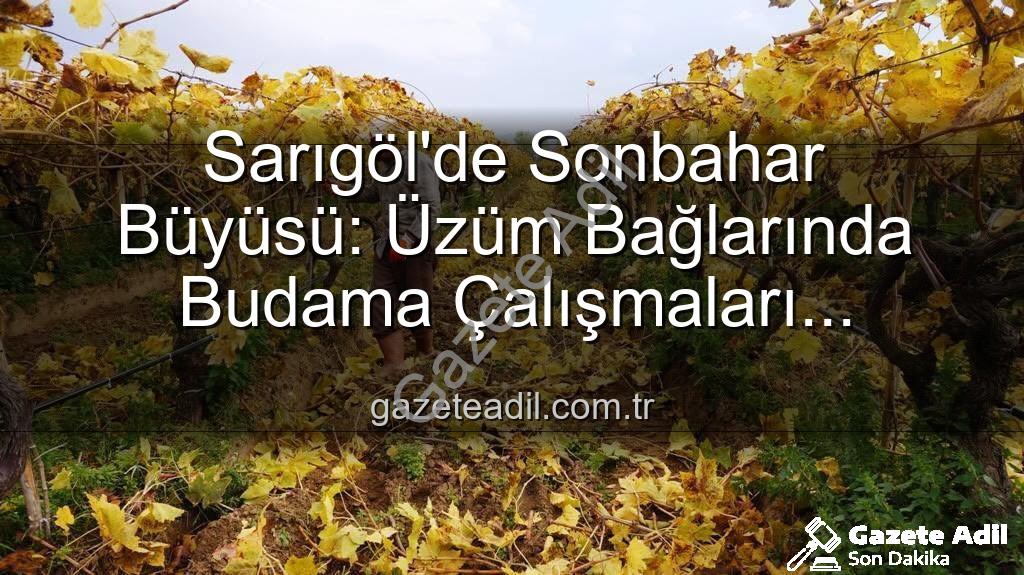 Sarıgöl üzüm bağları - Sarıgöl'de Sonbahar Büyüsü: Üzüm Bağlarında Budama Çalışmaları Kartpostal Manzaralar Eşliğinde Sürüyor