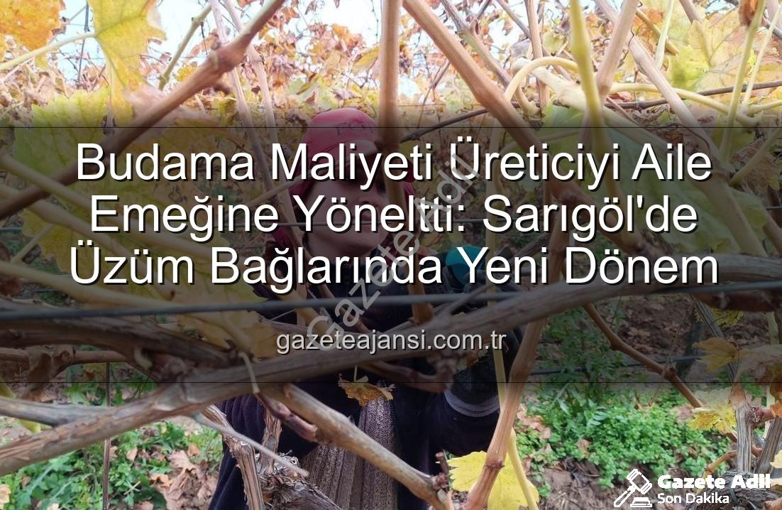 budama maliyeti - Üzüm Bağlarında Budama Maliyeti Üreticileri Aile Emeğine Yöneltti: Sarıgöl'de Yeni Dönem