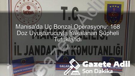 Manisa’da Uç Bonzai Operasyonu: 168 Doz Uyuşturucuyla Yakalanan Şüpheli Tutuklandı
