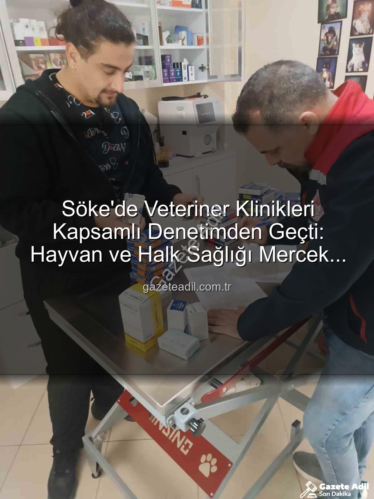 Söke veteriner klinikleri - Söke'de Veteriner Klinikleri Kapsamlı Denetimden Geçti: Hayvan ve Halk Sağlığı Mercek Altında