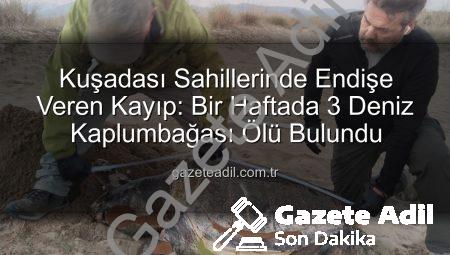 Kuşadası Sahillerinde Endişe Veren Kayıp: Bir Haftada 3 Deniz Kaplumbağası Ölü Bulundu