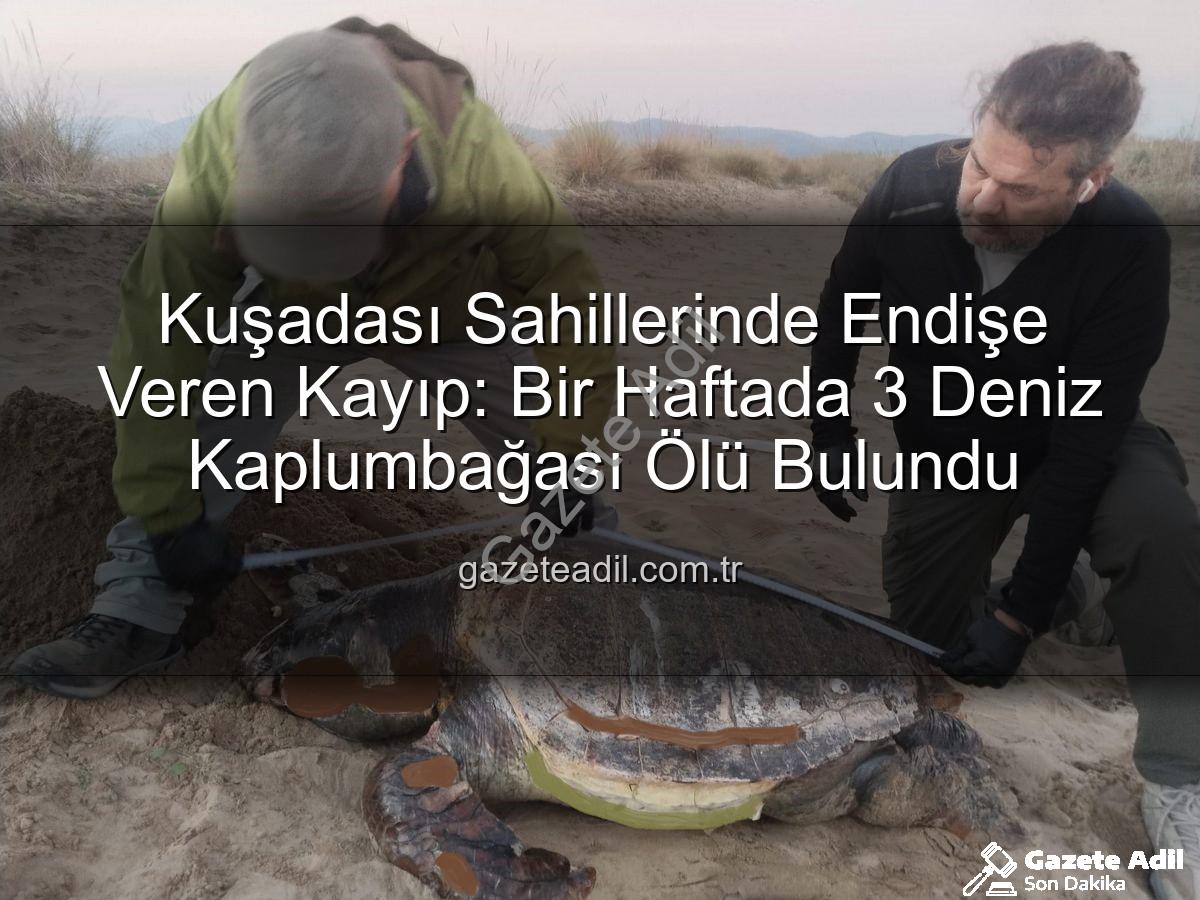 Kuşadası Sahillerinde Endişe Veren Kayıp: Bir Haftada 3 Deniz Kaplumbağası Ölü Bulundu