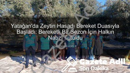 Yatağan’da Zeytin Hasadı Bereket Duasıyla Başladı: Bereketli Bir Sezon İçin Halkın Nabzı Tutuldu
