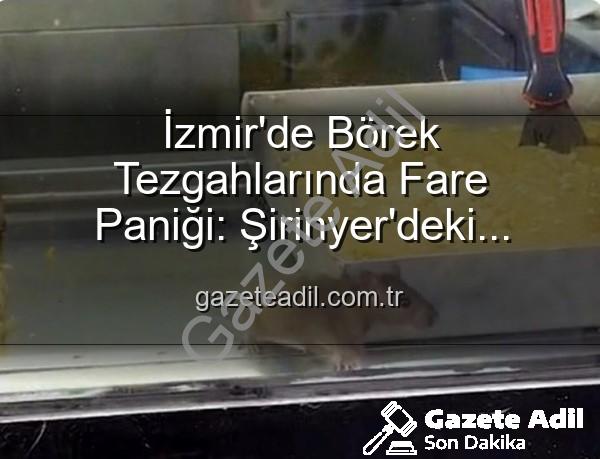 börek tezgahlarında fare - İzmir'de Börek Tezgahlarında Fare Paniği: Şirinyer'deki İşletmeye Mühür Vuruldu