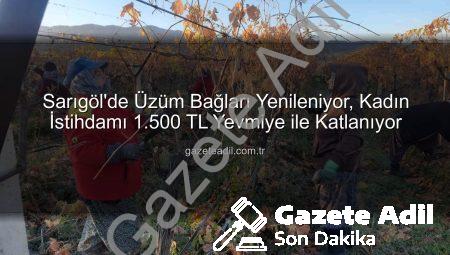 Sarıgöl’de Üzüm Bağları Yenileniyor, Kadın İstihdamı 1.500 TL Yevmiye ile Katlanıyor