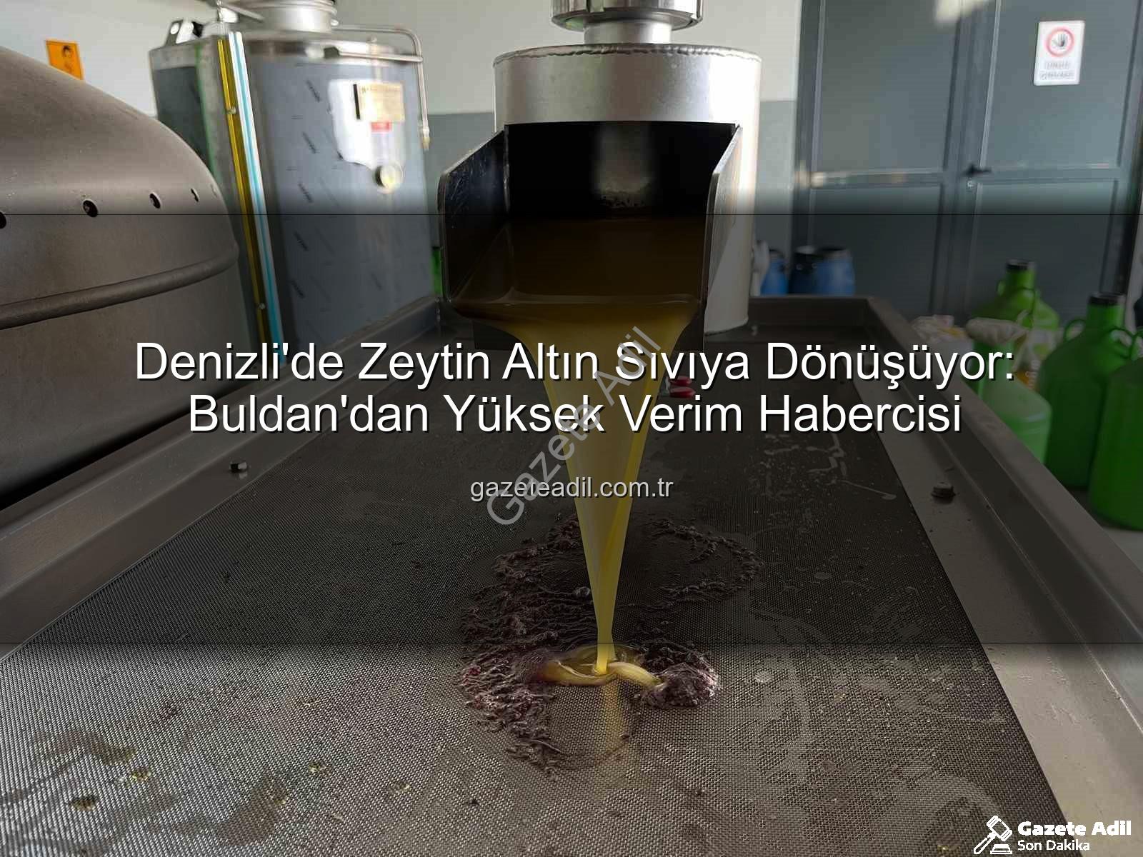 zeytinyağı üretimi - Denizli'de Zeytin Altın Sıvıya Dönüşüyor: Buldan'dan Yüksek Verim Habercisi