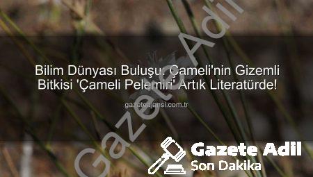Denizli’nin Saklı Hazinesi: ‘Çameli Pelemiri’ Bilim Dünyasına Kazandırıldı!