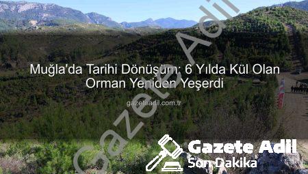 Muğla’da Tarihi Dönüşüm: 6 Yılda Kül Olan Orman Yeniden Yeşerdi