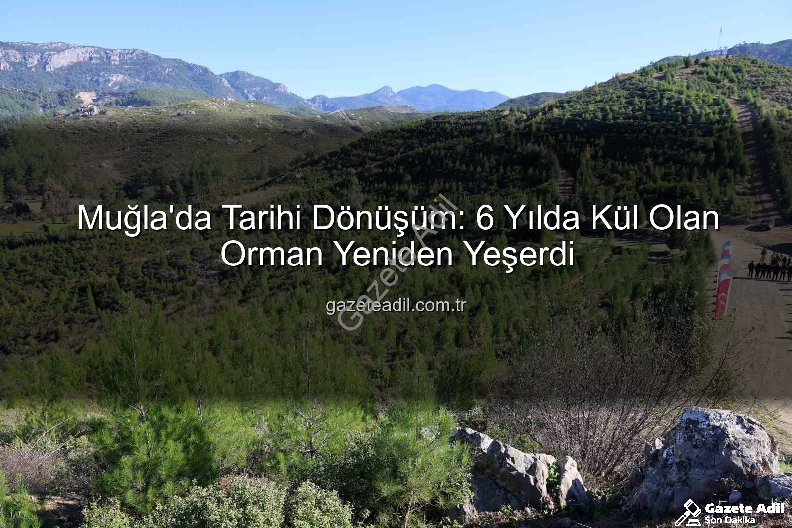 Dalaman yangın sahası - Muğla'da Tarihi Dönüşüm: 6 Yılda Kül Olan Orman Yeniden Yeşerdi