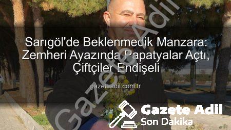 Sarıgöl’de Beklenmedik Manzara: Zemheri Ayazında Papatyalar Açtı, Çiftçiler Endişeli